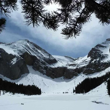 Up El Grito De Tarzan Apartament *