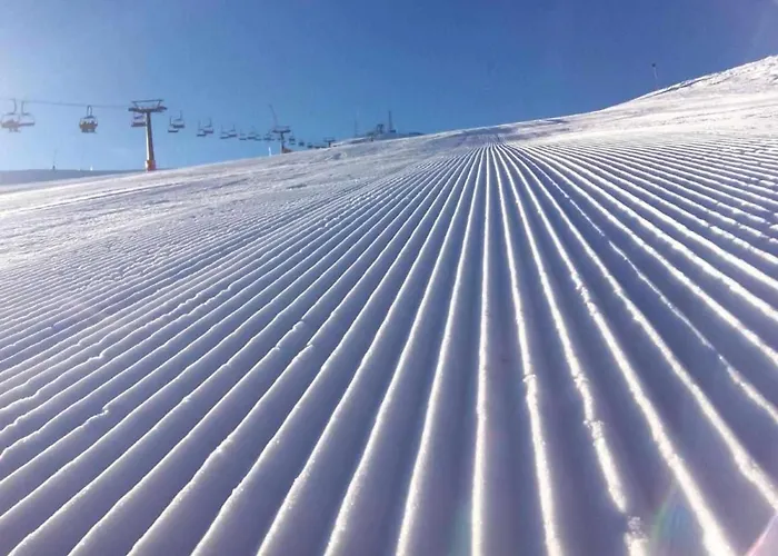 Up El Grito De Tarzan *