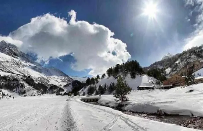 Up El Grito De Tarzan