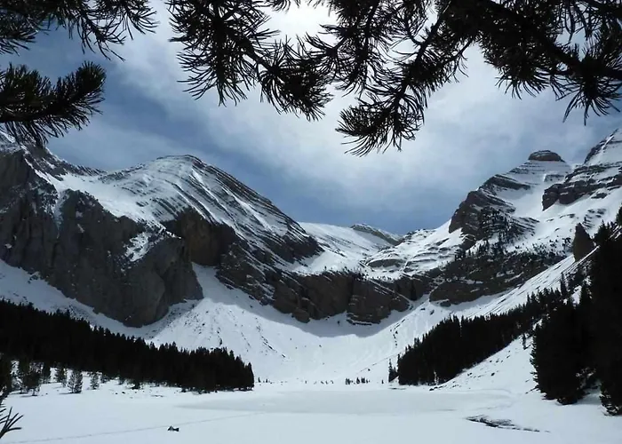 Up El Grito De Tarzan Apartamento *